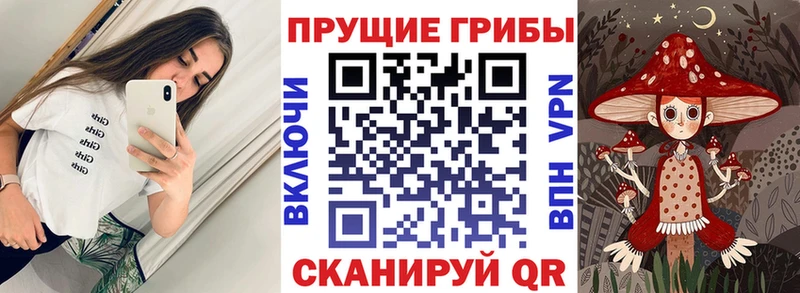 Галлюциногенные грибы Cubensis  Десногорск 