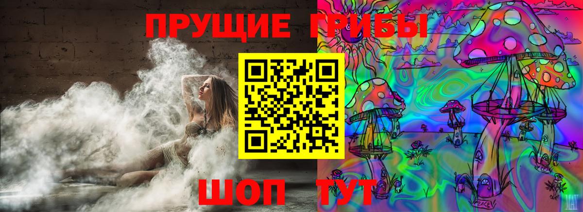 Галлюциногенные грибы GOLDEN TEACHER  Псилоцибиновые грибы MAGIC MUSHROOMS  Десногорск  Вход с VPN 