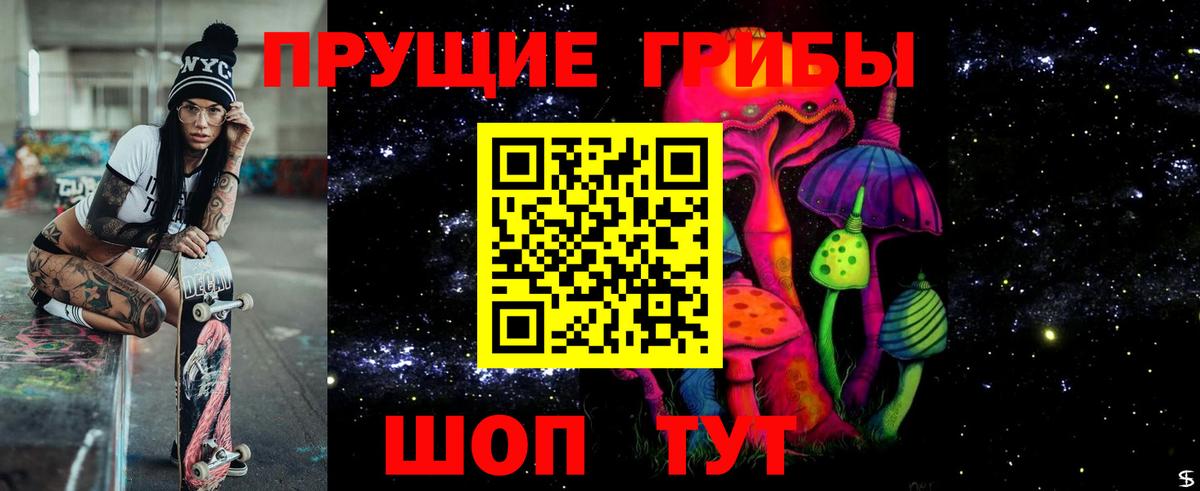 Псилоцибиновые грибы Psilocybine cubensis Десногорск